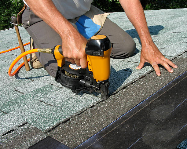 Best Roof Repair Services  in Manistee, MI